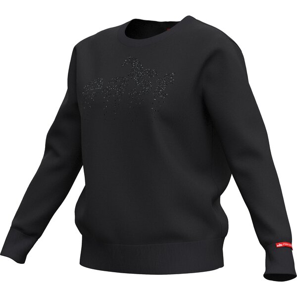 eaSt sweatshirt Rising Star black | XS