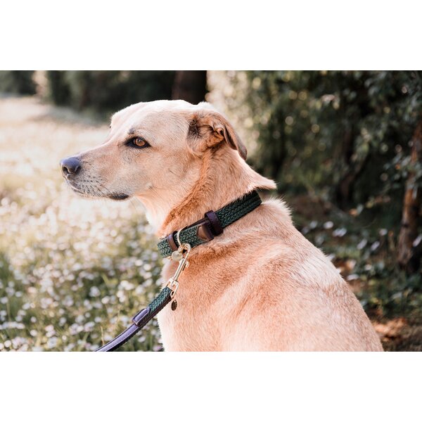 KENTUCKY DOGWEAR hondenhalsband Plaited Nylon 