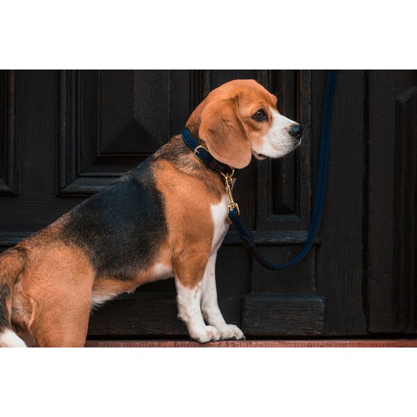 KENTUCKY DOGWEAR hondenhalsband Plaited Nylon 