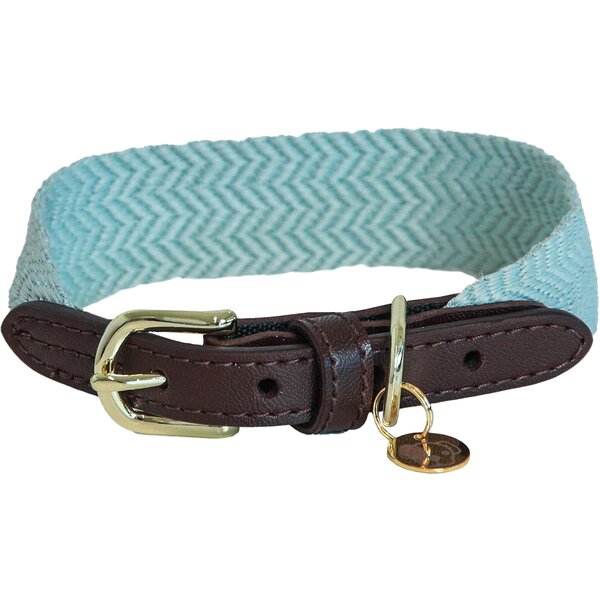 KENTUCKY DOGWEAR Hundehalsband Jacquard 