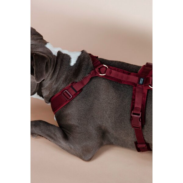 KENTUCKY DOGWEAR hondentuig Activ Velvet bordeaux | M