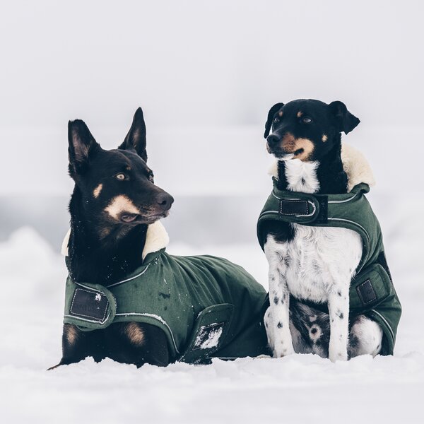 KENTUCKY DOGWEAR hondenmantel waterdicht 