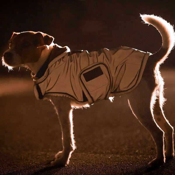 KENTUCKY DOGWEAR hondenmantel reflecterend en waterafstotend 
