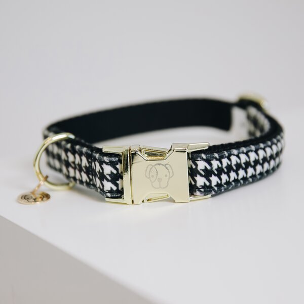 KENTUCKY DOGWEAR Hundehalsband Pied-de-Poule 
