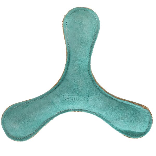 KENTUCKY DOGWEAR Hundespielzeug Pastel Bumerang smaragd