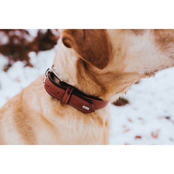 HUNTER halsband Canadian Up 