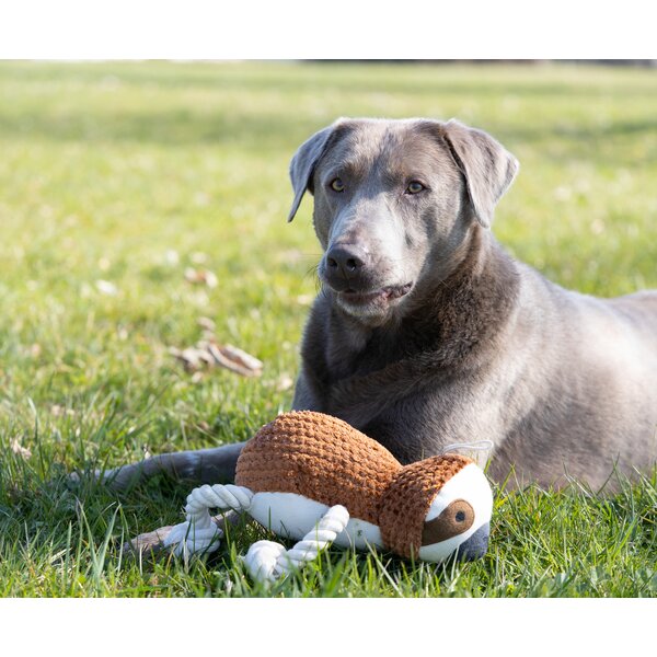 pawberry hondenspeelgoed luiaard beige | 30 cm