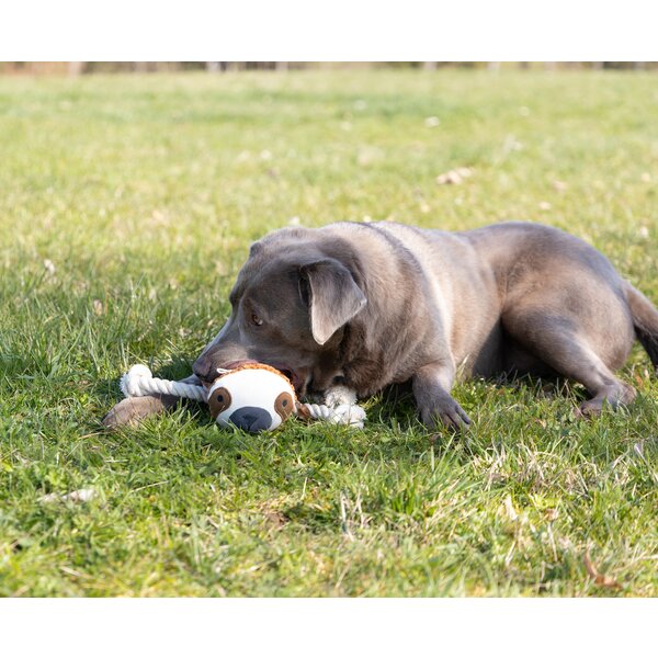 pawberry hondenspeelgoed luiaard beige | 30 cm