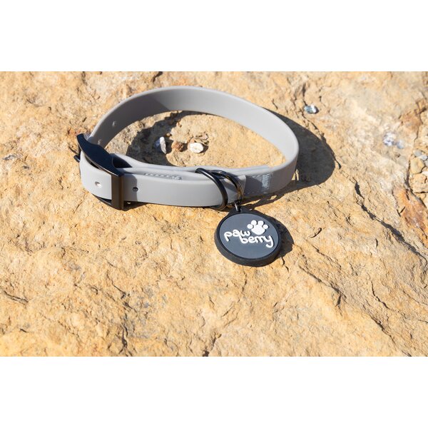 pawberry hondenhalsband Doncaster 
