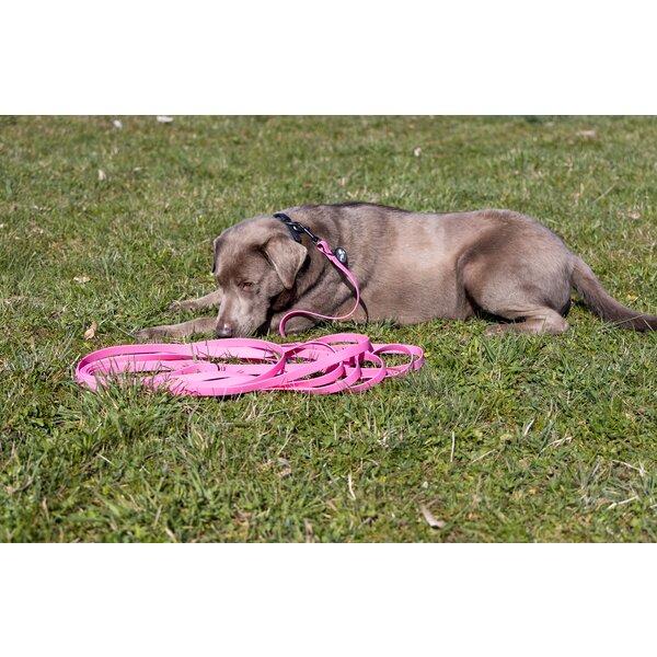 pawberry sleeplijn Doncaster 