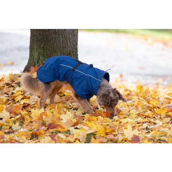 pawberry hondenregenjas Pleven 