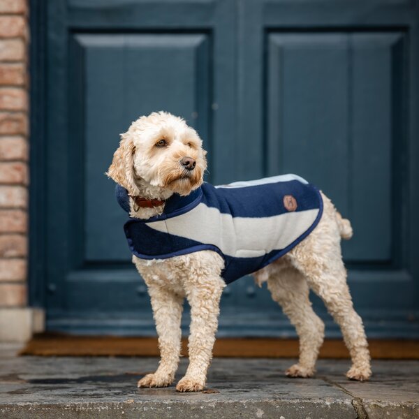 HORSEWARE hondenmantel Newmarket Dog Fleece witney/navy | XS (35cm)