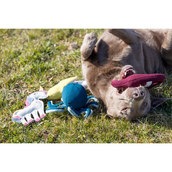 pawberry hondenspeelgoed anker One size