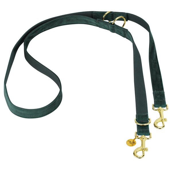 pawberry verstelbare hondenlijn Valencia 