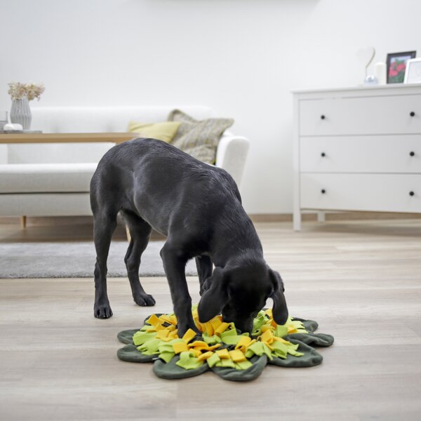 KERBL snuffelmat Sunflower green/yellow | 60 cm