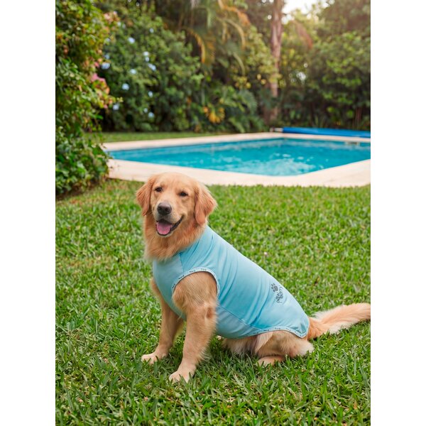 pawberry Hondenkoelvest Porto 