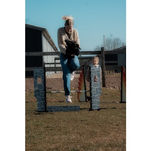 ASTRUP Hobby Horse hindernis kasteel 