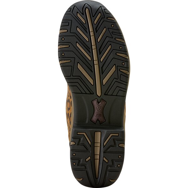 ARIAT rij- en trekkingschoen Women’s Terrain 