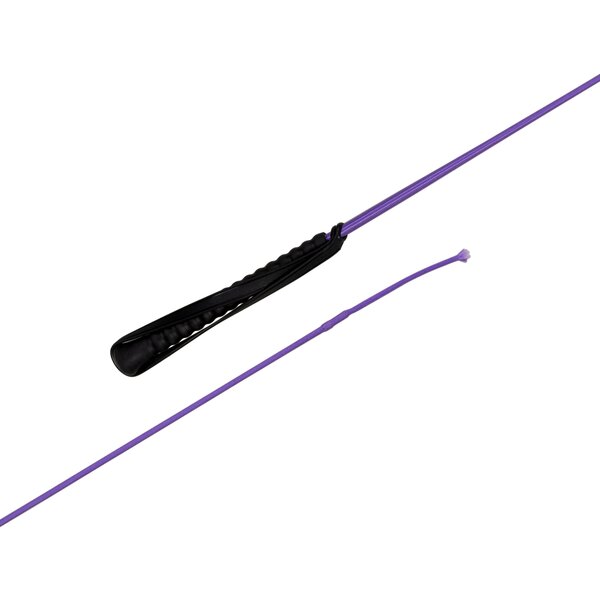 black forest kids dressuurzweep 