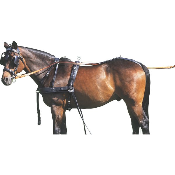 Zweispänner-Brustblattgeschirr, für Ponys bis 135 cm 
