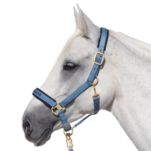 Cheval de Luxe Halfter steel blue | Pony