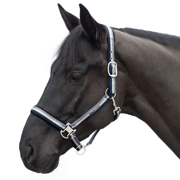 black forest halfter 