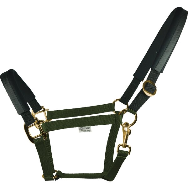 EQUEST Halfter Equi-Stretch 