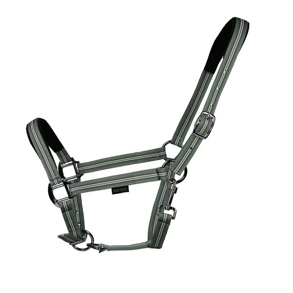 EQUEST halster Dual Plus 