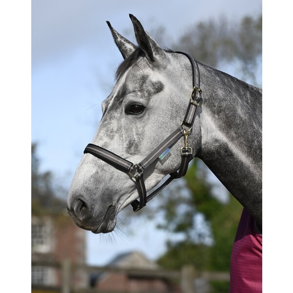 bucas halster Dublin smoke grey | Volbloed