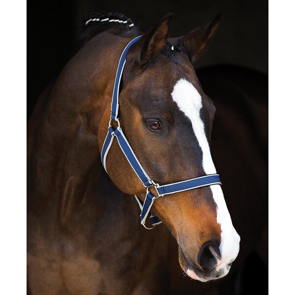 Horseware Halfter AMIGO Headcollar navy/silver | Vollblut