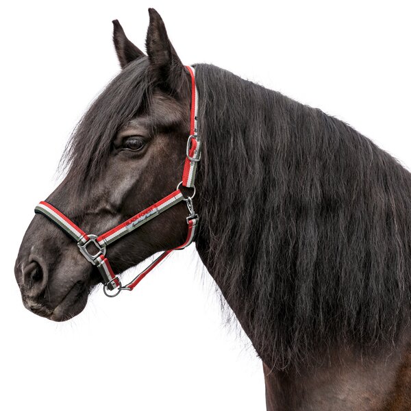 black forest Halfter Ashford olive/white/hibiscus | Pony