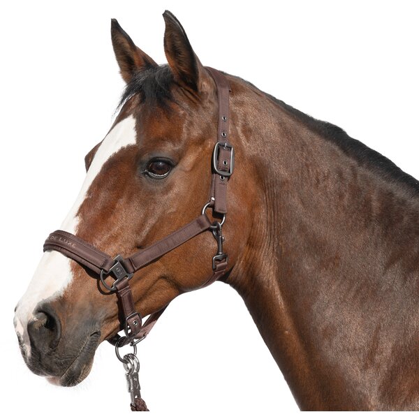 Cheval de Luxe halster Lyon brown | Pony