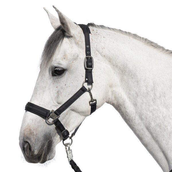 Cheval de Luxe halster Lyon black | Pony
