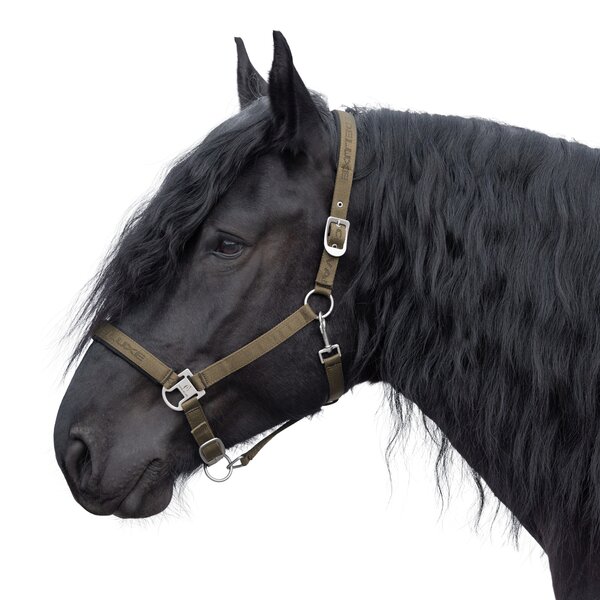 Cheval de Luxe Halfter dark olive | Pony