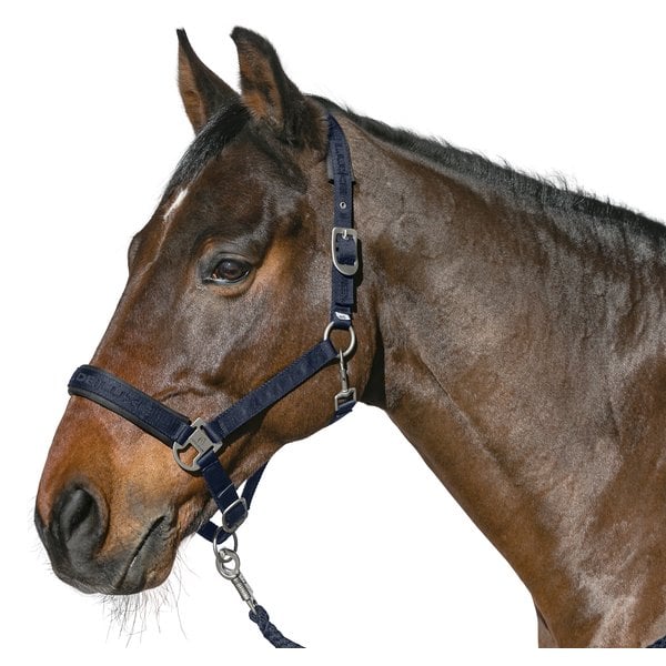 Cheval de Luxe Halfter navy | Pony