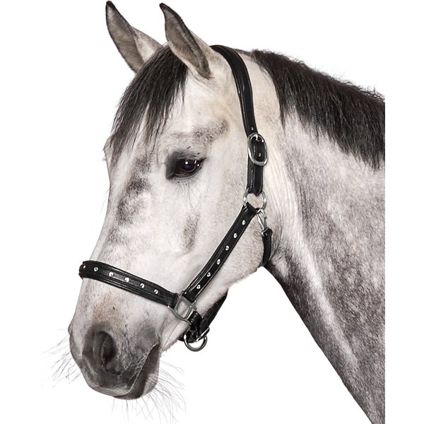 Cheval de Luxe Lederhalfter Adelaide schwarz | Pony