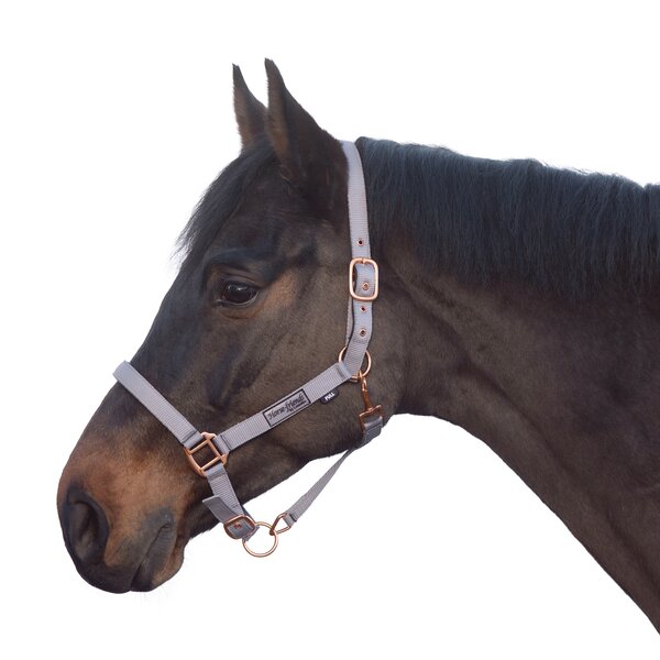 Horse-friends Halfter Lima grey | Pony
