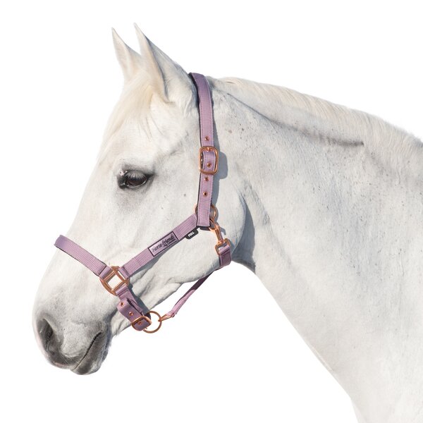 Horse-friends Halfter Lima smokeberry | Vollblut