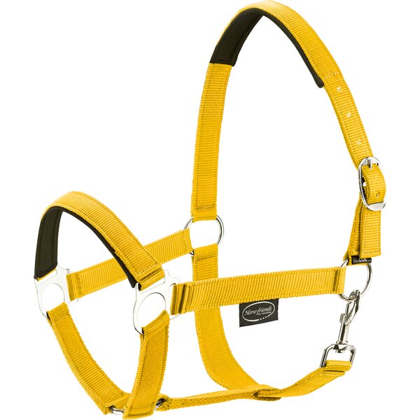 Horse-friends webhalster Pin Buckle yellow | Shetty