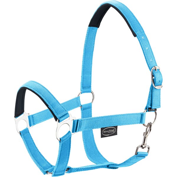 Horse-friends webhalster Pin Buckle light blue | Shetty