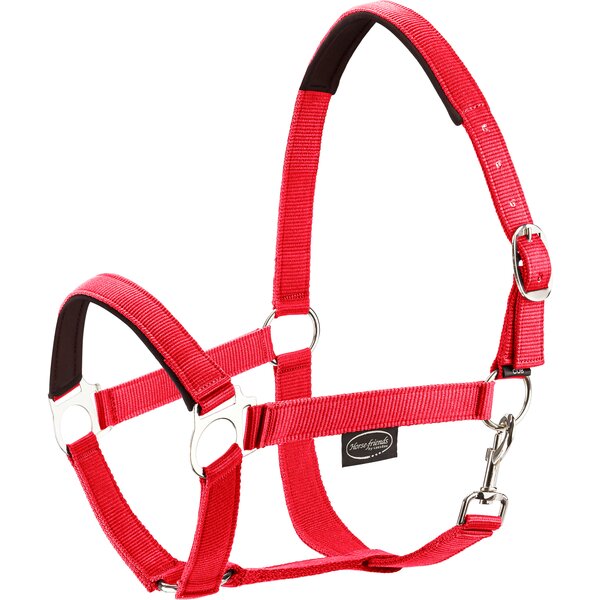 Horse-friends webhalster Pin Buckle red | Shetty