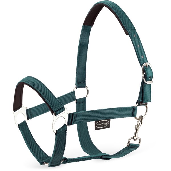 Horse-friends webhalster Pin Buckle green | Shetty