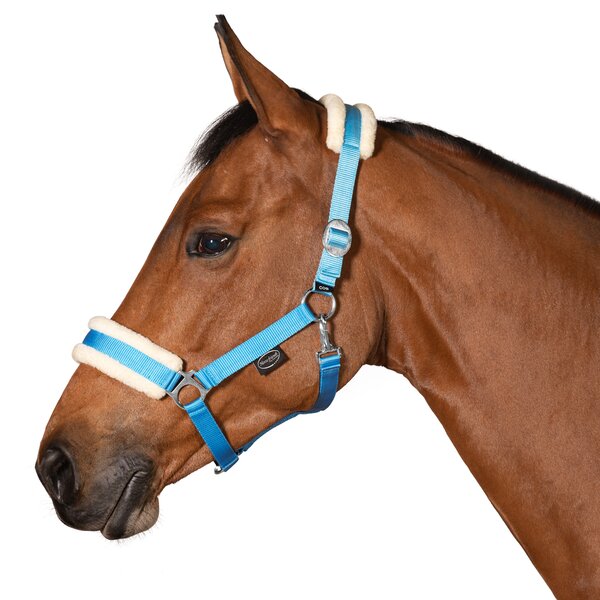 Horse-friends webhalster FauxFur Double Pin Buckle light blue | Shetty
