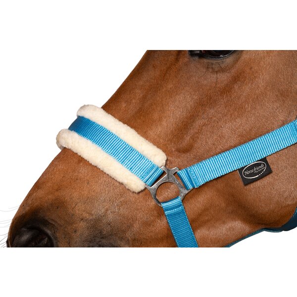 Horse-friends webhalster FauxFur Double Pin Buckle light blue | Shetty