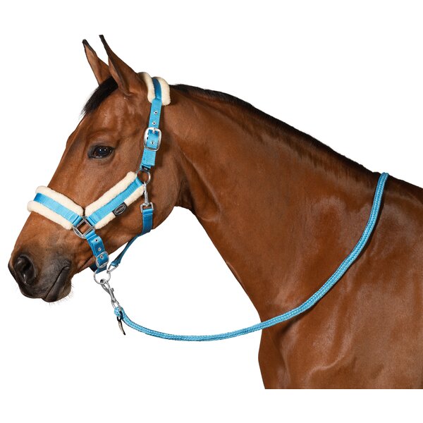 Horse-friends webhalster FauxFur Double Pin Buckle light blue | Shetty