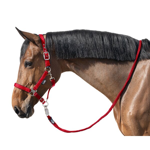 Horse-friends Halster- en aanbindingstouw, voor paarden red | ca. 2 m