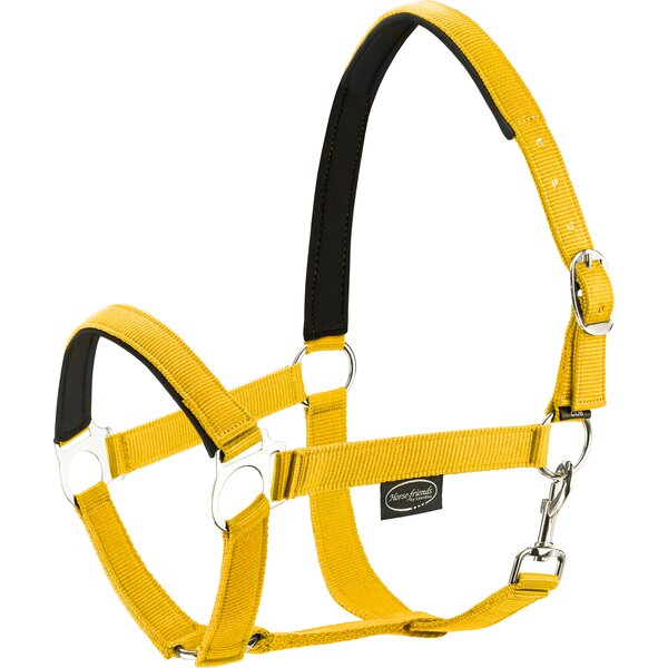 Horse-friends webhalster Pin Buckle yellow | Pony