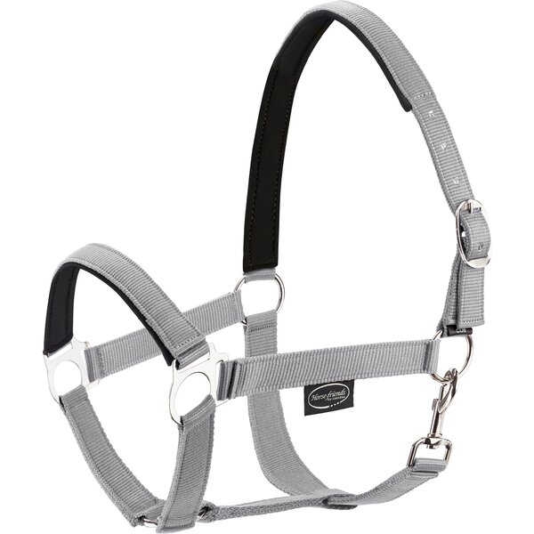 Horse-friends webhalster Pin Buckle grey | Pony