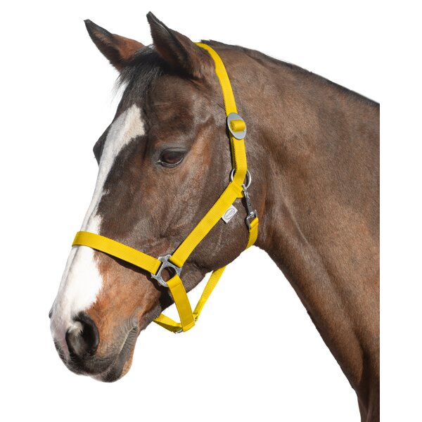 Loesdau webhalster yellow | Shetty