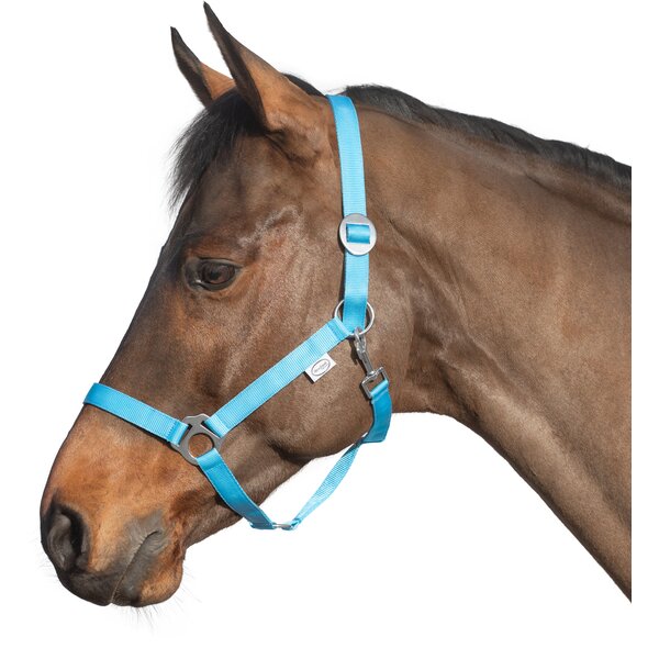 Loesdau webhalster light blue | Shetty